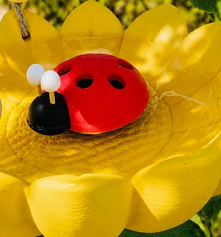 🌼 Insekten- & Vogeltränke  – wahlweise mit Hummel oder Marienkäfer